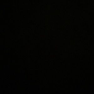 Meet your Posher, Daniela